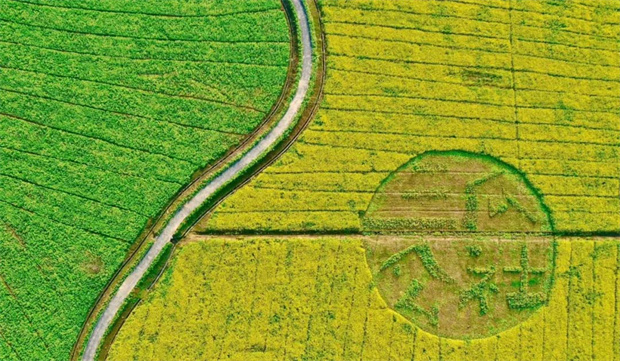 金沙9159游乐场(中国)有限公司-BinG百科