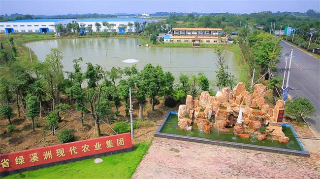 金沙9159游乐场(中国)有限公司-BinG百科