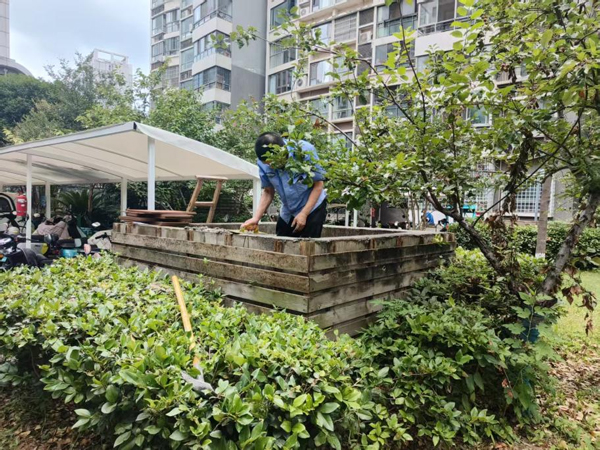 金沙9159游乐场(中国)有限公司-BinG百科